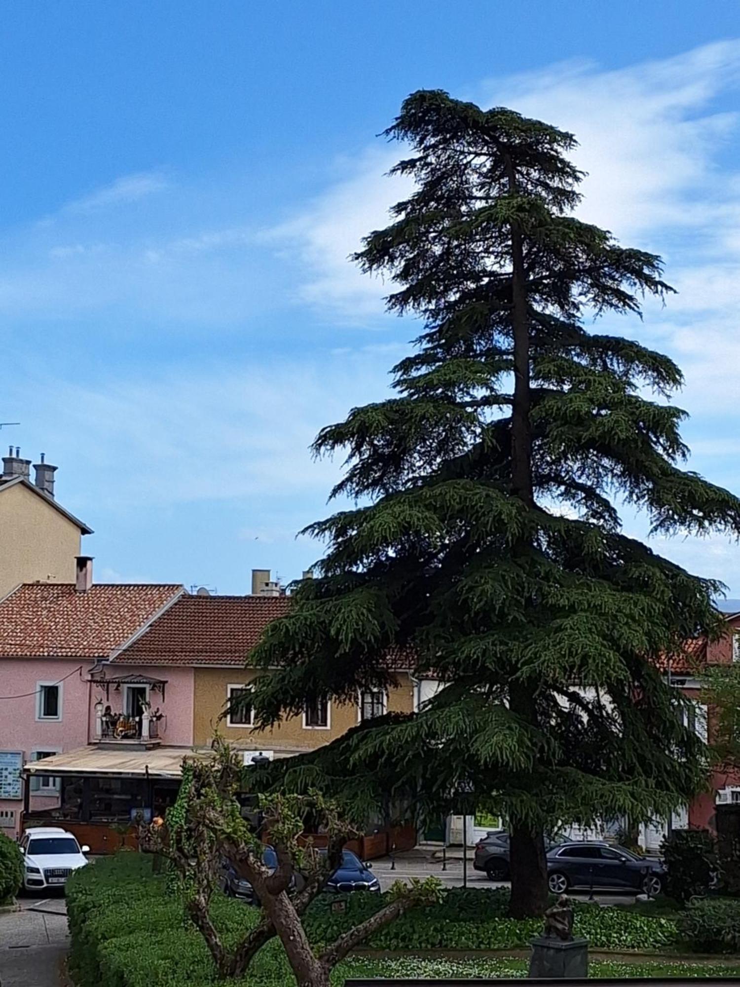 Appartement Knezgrad *